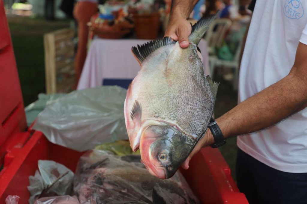 “VG Santo Peixe” leva 20 toneladas de pescado mais barato a seis pontos da cidade