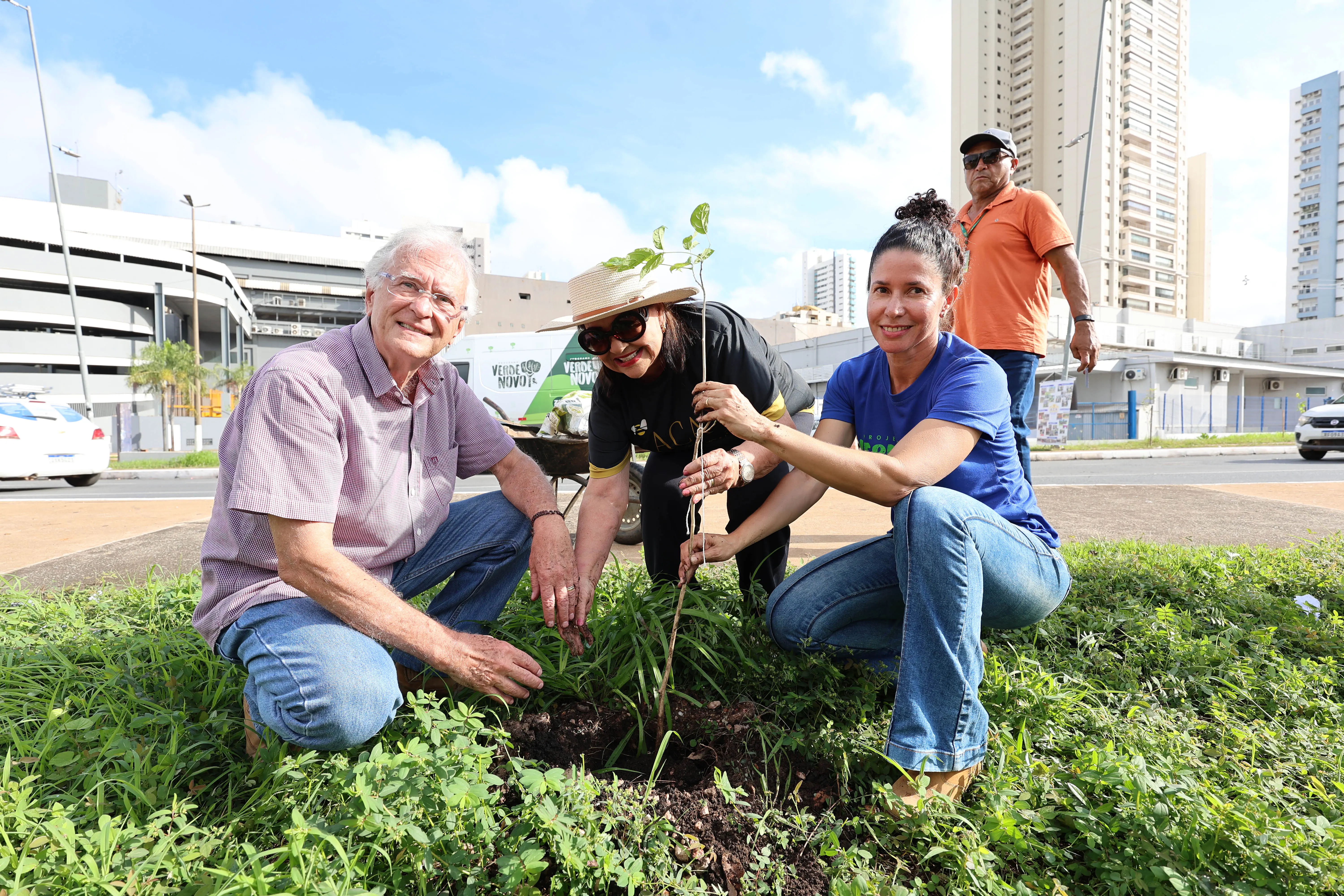 Três pessoas agachadas plantam uma muda em canteiro de avenida. Ao fundo, van branca com adesivo do Programa Verde Novo e prédios altos.