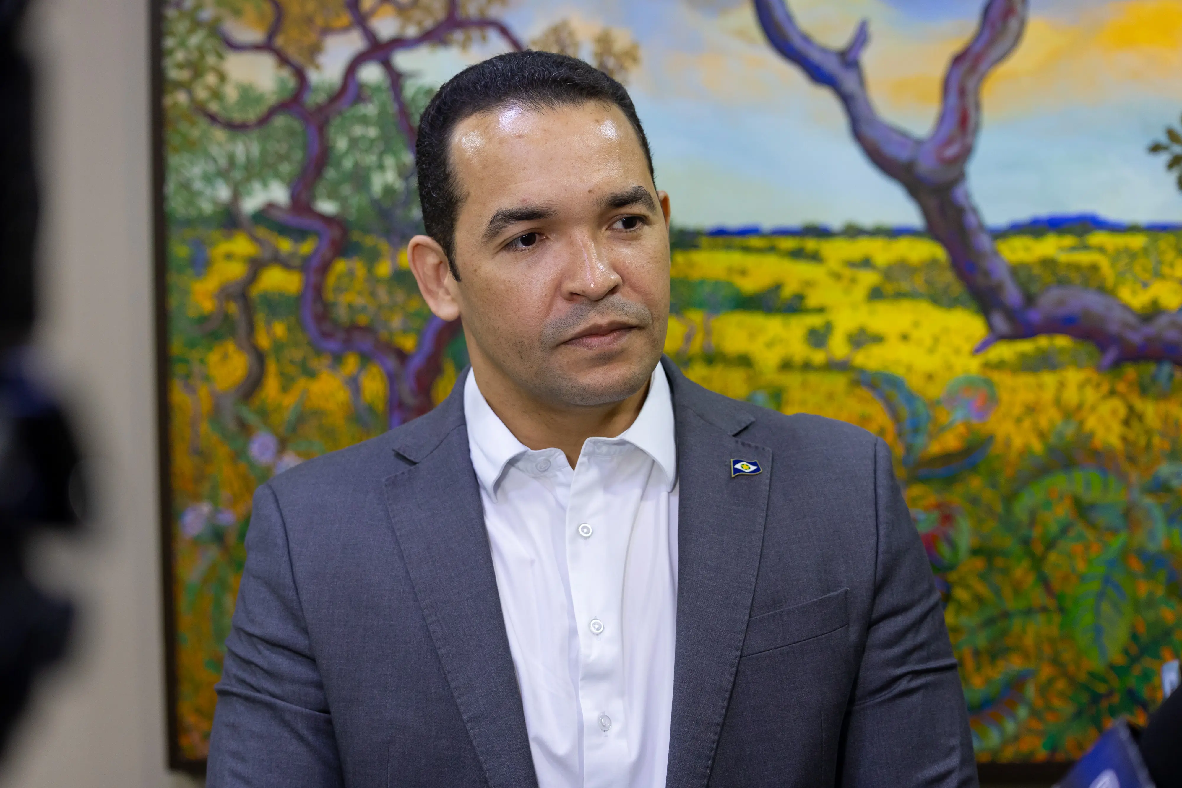 Homem de terno cinza e camisa branca posa para foto. Ele possui cabelos curtos e escuros, e usa um pequeno broche na lapela. Ao fundo, uma tela colorida retrata uma paisagem com árvores retorcidas.