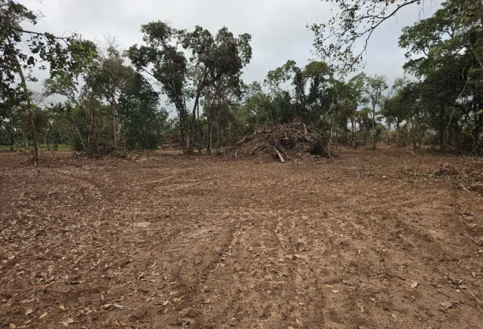 Batalhão Ambiental aplica multa em mais de R$ 129 mil por desmatamento irregular